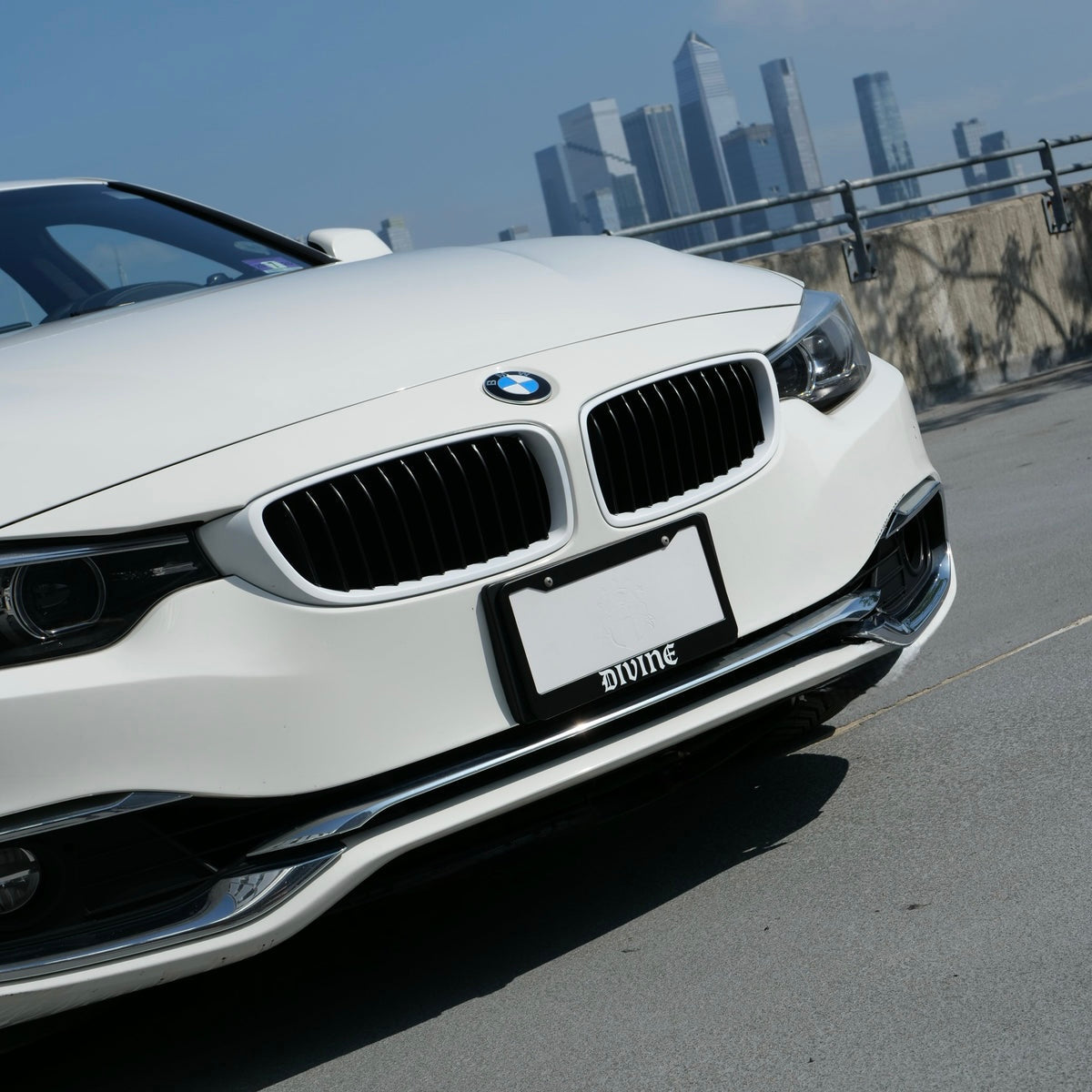 Divine License Plate Frame