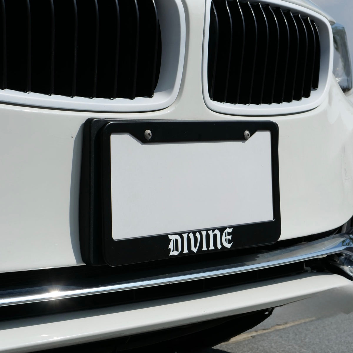 Divine License Plate Frame